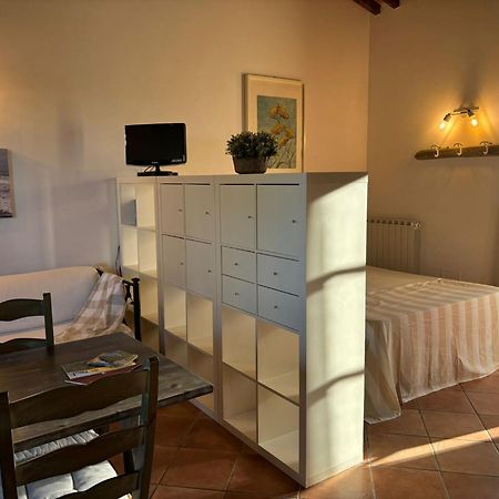 Casa "Ale" Con Piscina Comune E Bellissimo Giardino A 5 Minuti Dal Mare Cecina (Livorno) Exteriör bild
