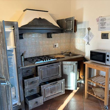 Casa "Ale" Con Piscina Comune E Bellissimo Giardino A 5 Minuti Dal Mare Cecina (Livorno) Exteriör bild
