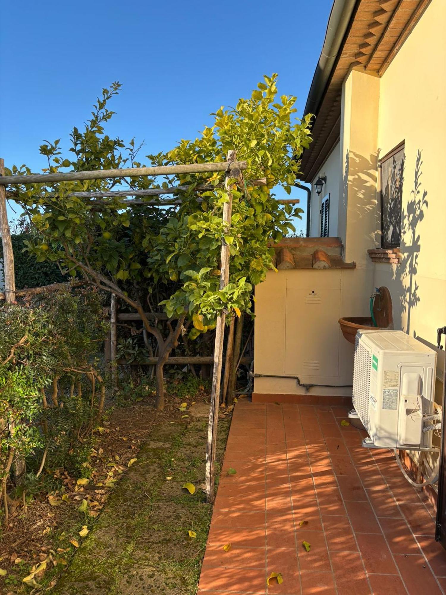 Casa "Ale" Con Piscina Comune E Bellissimo Giardino A 5 Minuti Dal Mare Cecina (Livorno) Exteriör bild