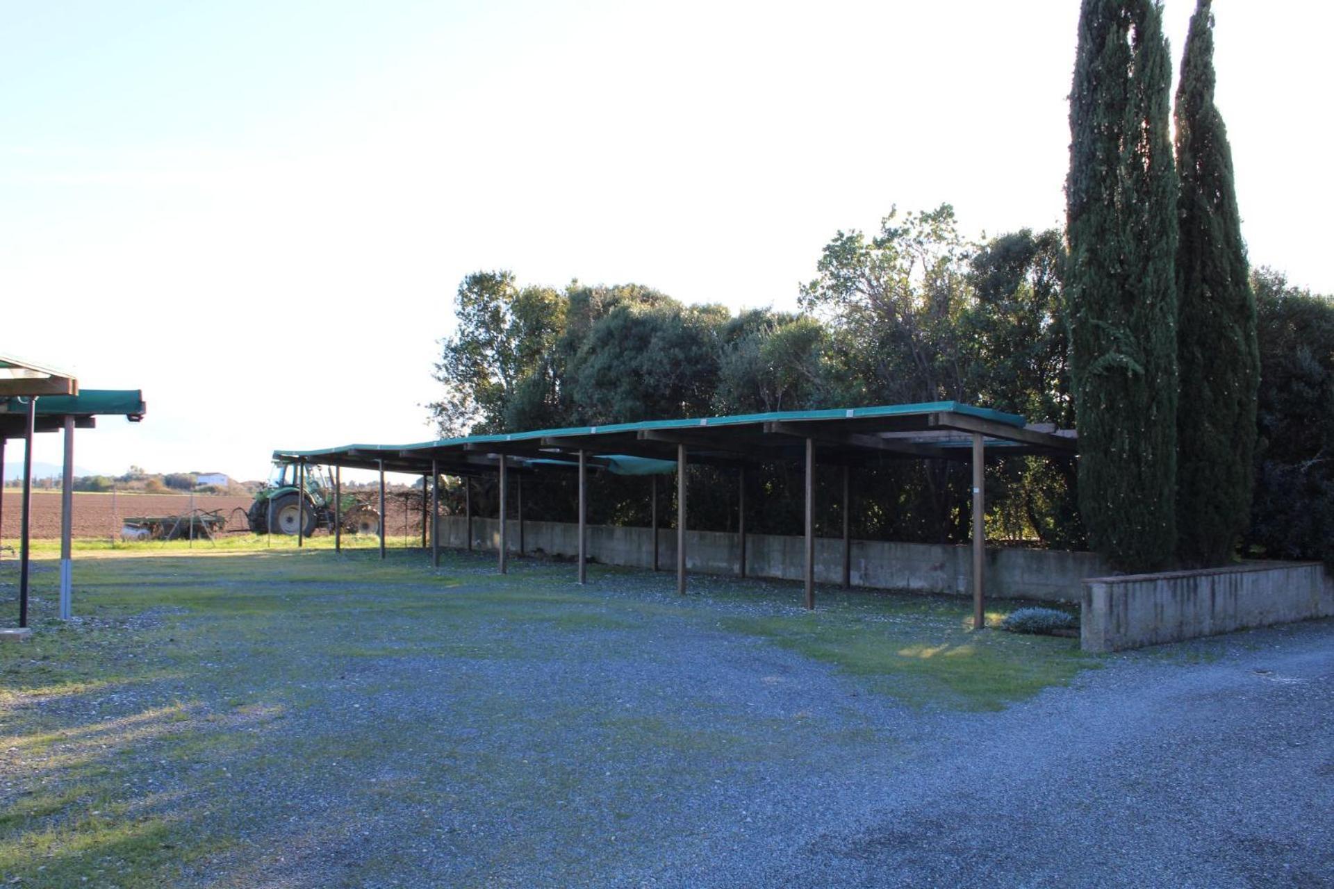 Casa "Ale" Con Piscina Comune E Bellissimo Giardino A 5 Minuti Dal Mare Cecina (Livorno) Exteriör bild